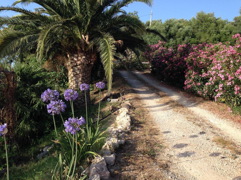 Giardino Di Sicilia Guest House Sant'Agata di Militello Exterior photo